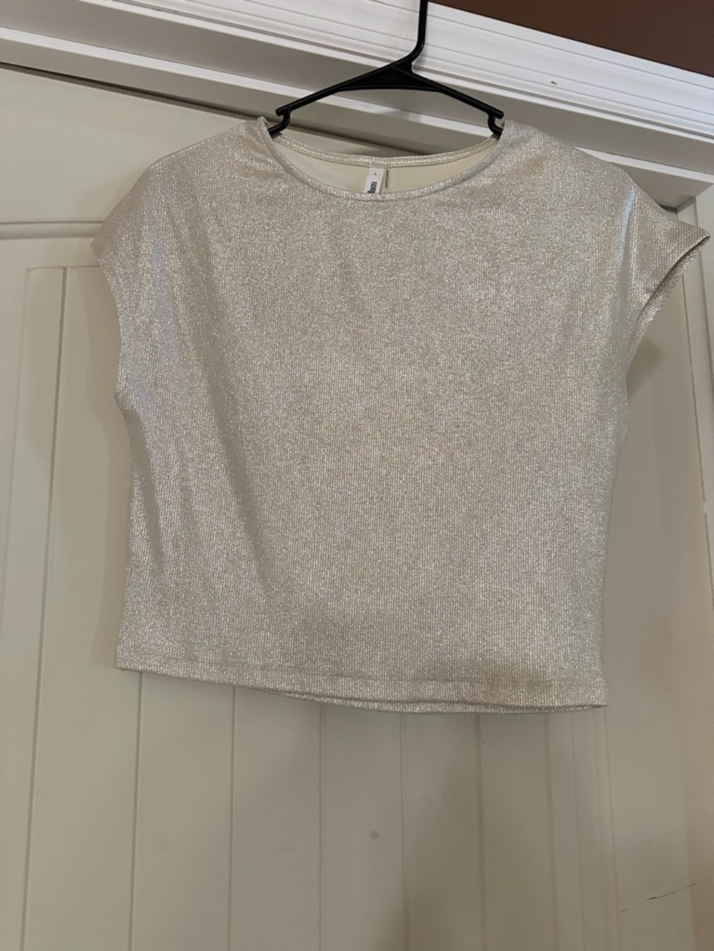 glam Metallic Ivory Short Sleeve Crop Tee